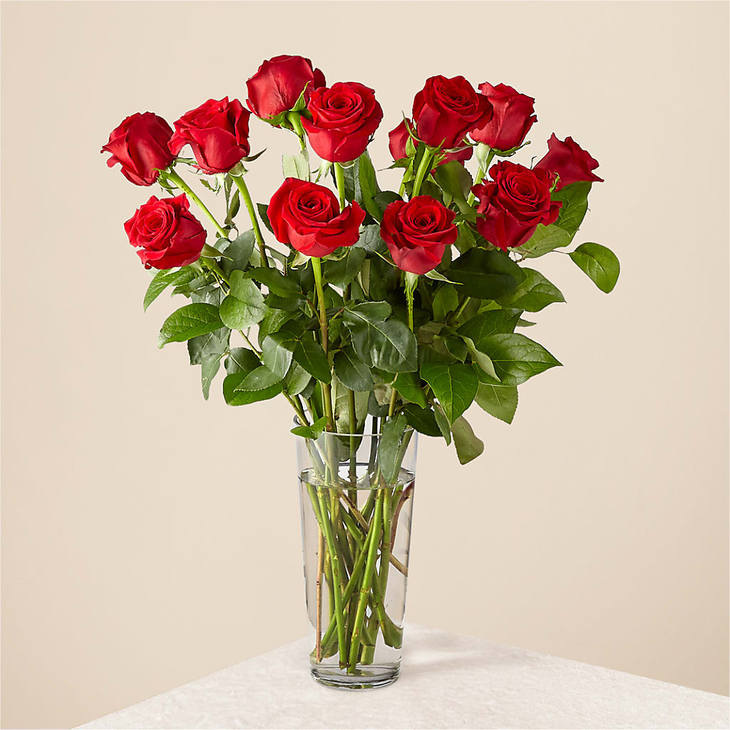 Long Stem Red Rose Bouquet – Flower Garden Florist, Fort Worth TX