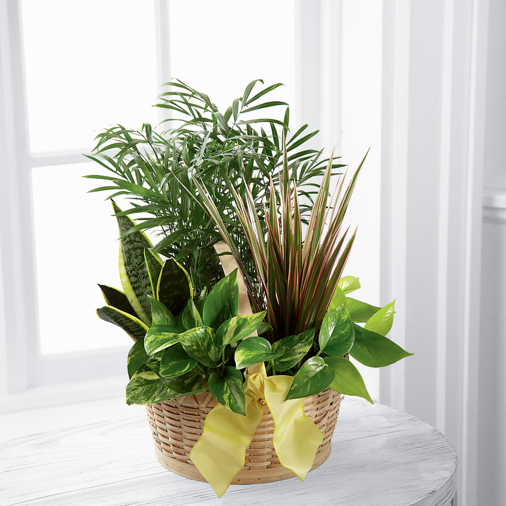 French Garden – Flower Garden Florist, Fort Worth TX