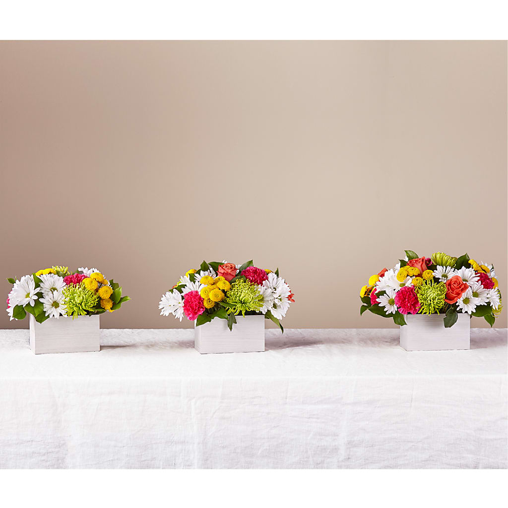 Sorbet Bouquet – Flower Garden Florist, Fort Worth TX