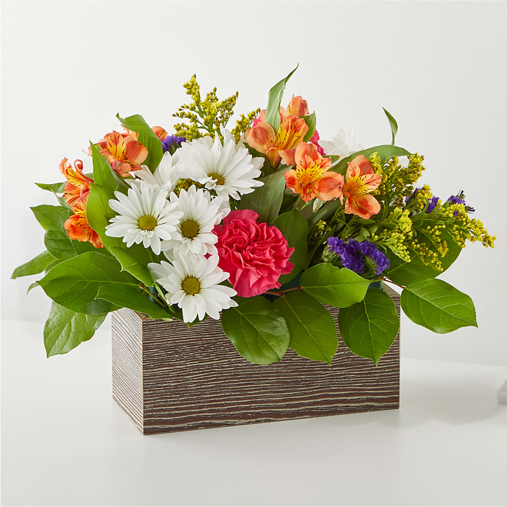 Oopsie Daisy Box Bouquet – Flower Garden Florist, Fort Worth TX