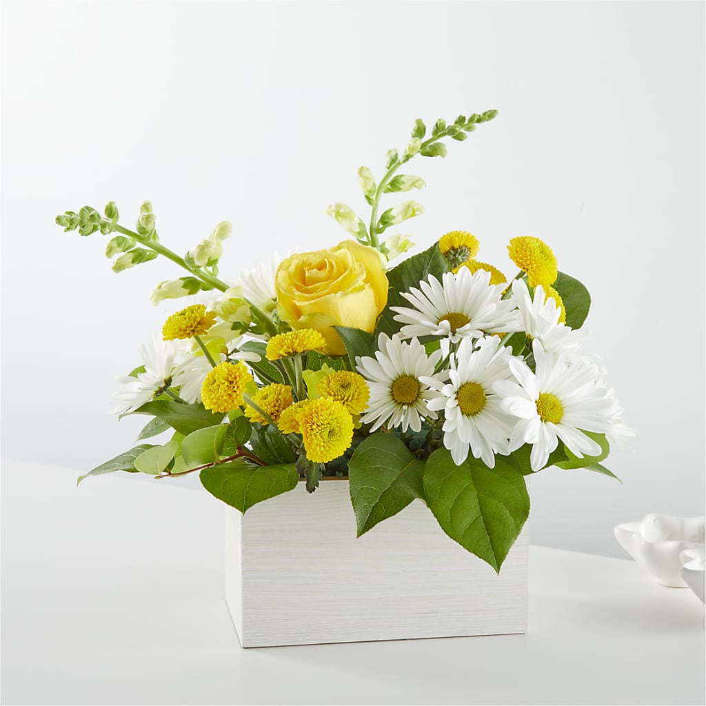 Sun Salutation Box Bouquet – Flower Garden Florist, Fort Worth TX