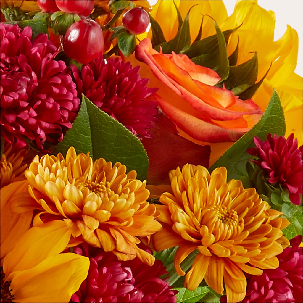 Sweater Season - A Florist Original – Flower Garden Florist, Fort Worth TX