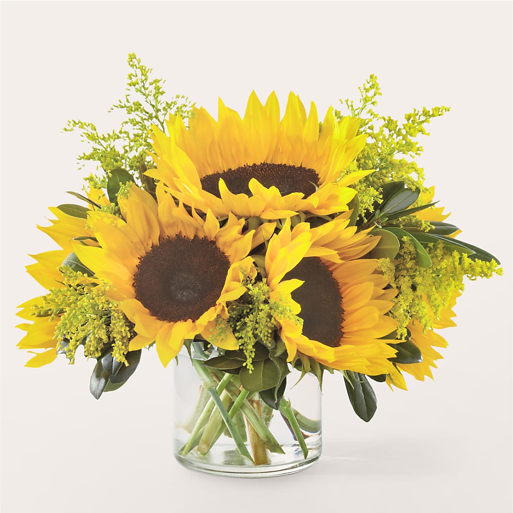 Beaming Sunflower Bouquet – Flower Garden Florist, Fort Worth TX