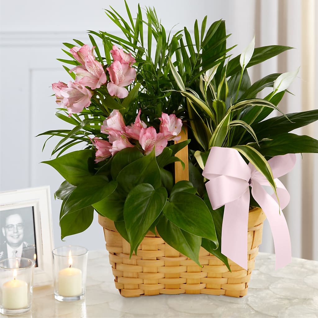 Living Spirit Dishgarden – Flower Garden Florist, Fort Worth TX
