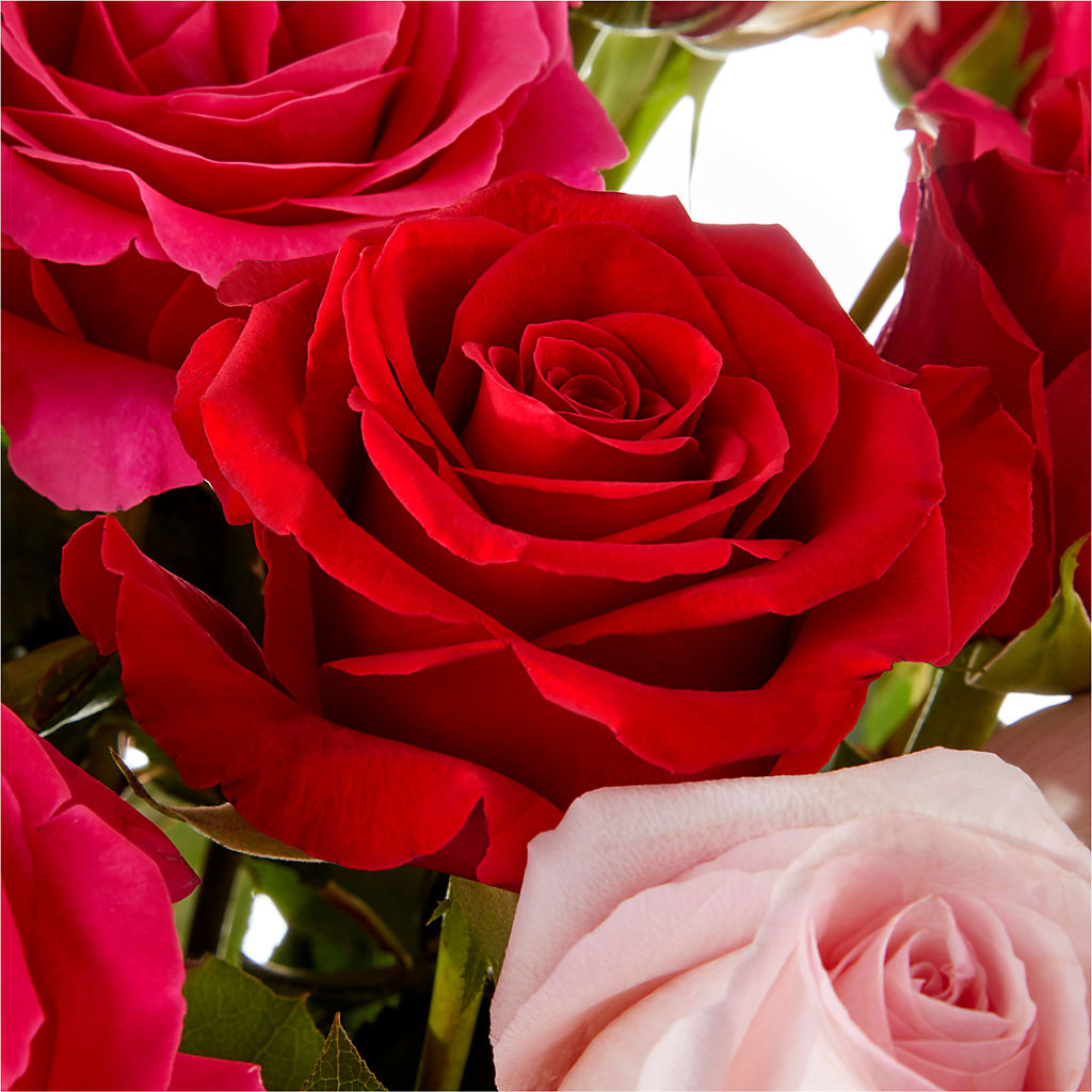 Love Notes Rose Bouquet – Flower Garden Florist, Fort Worth TX