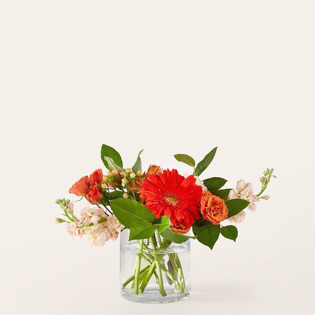 Paloma Please Bouquet – Flower Garden Florist, Fort Worth TX