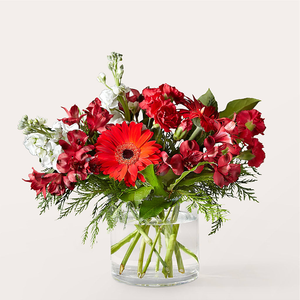 Holidaisy Bouquet – Flower Garden Florist, Fort Worth TX