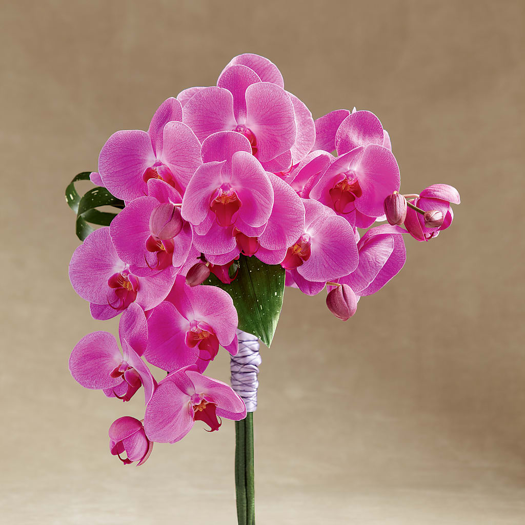 Glorious Bouquet – Flower Garden Florist, Fort Worth TX