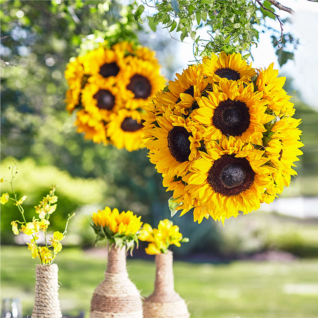 Sublime Garden Hanging Arrangement – Flower Garden Florist, Fort Worth TX