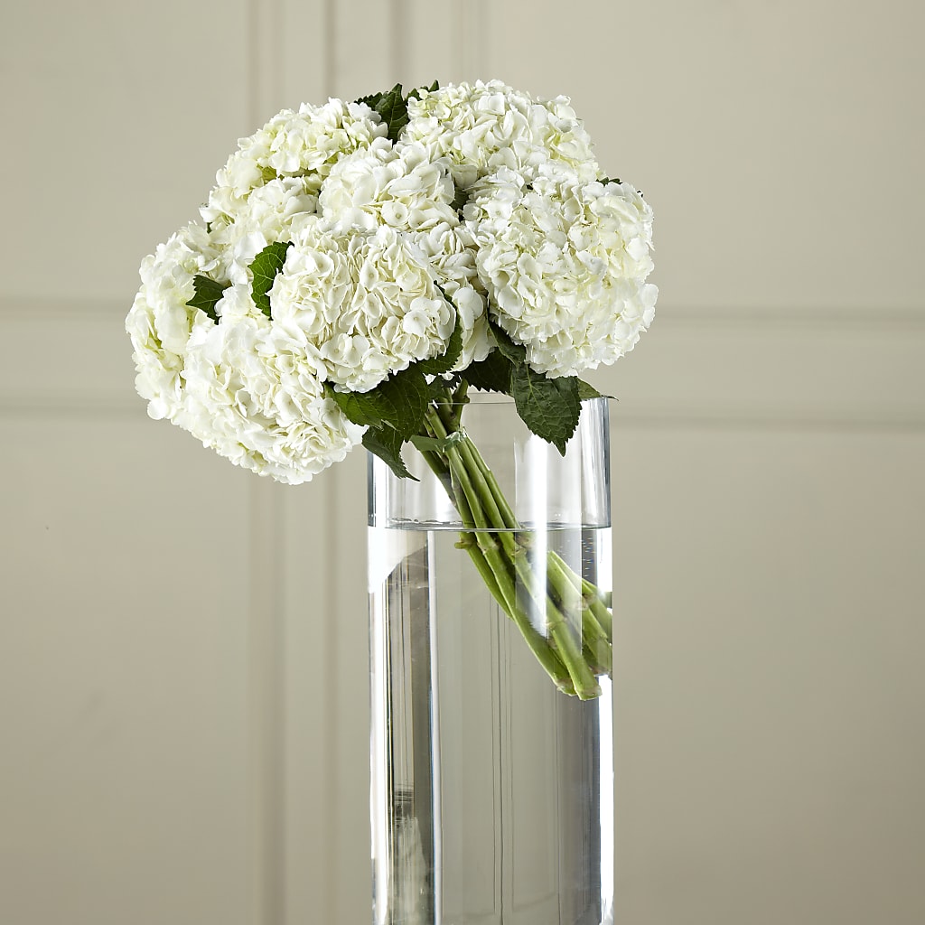 White Hydrangea Hand-Tied Bouquet – Flower Garden Florist, Fort Worth TX