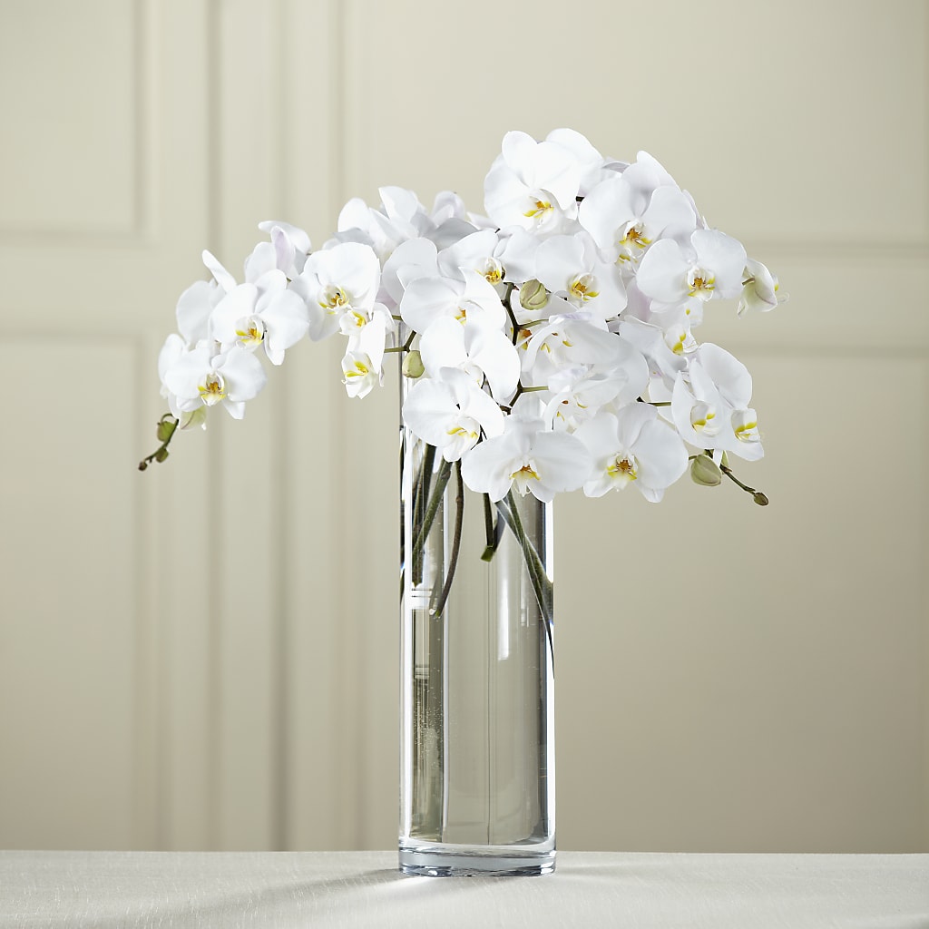 White Phalaenopsis Bouquet – Flower Garden Florist, Fort Worth TX