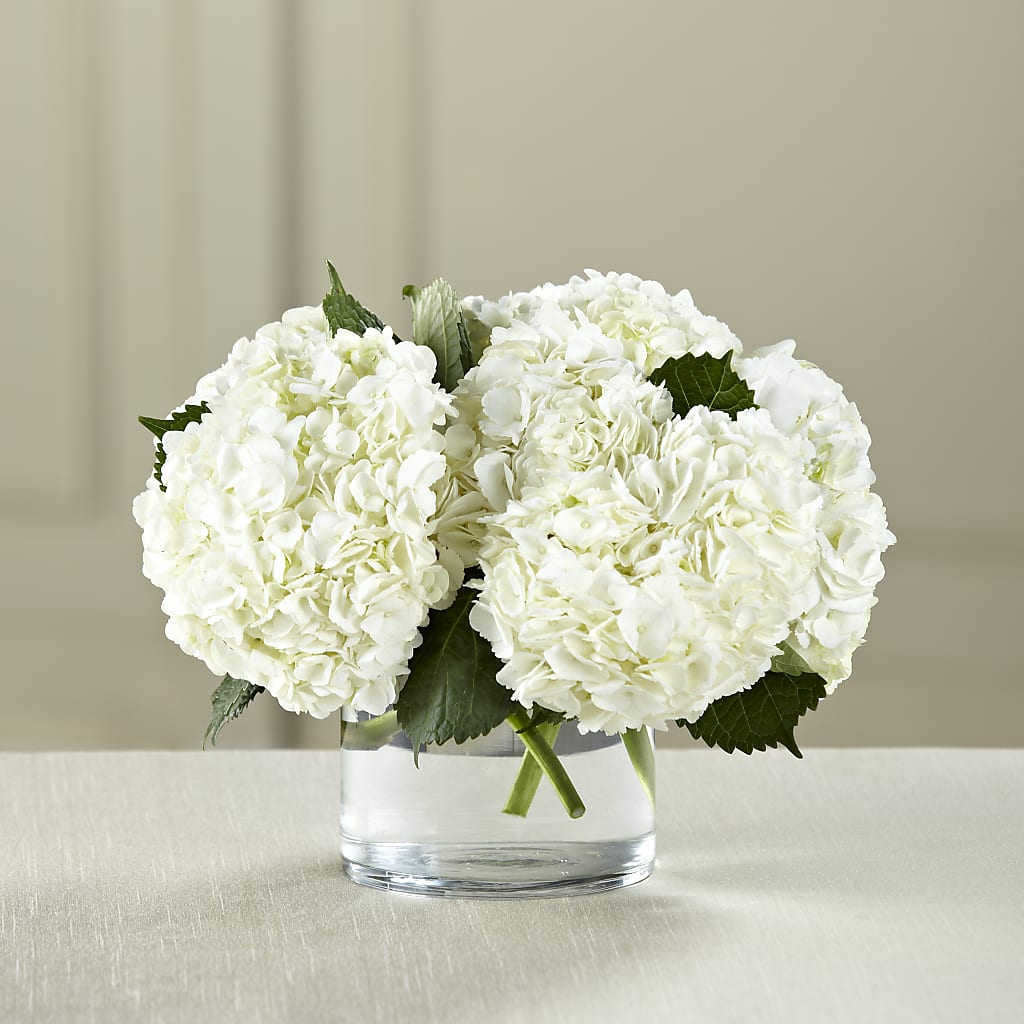 White Hydrangea Bouquet – Flower Garden Florist, Fort Worth TX