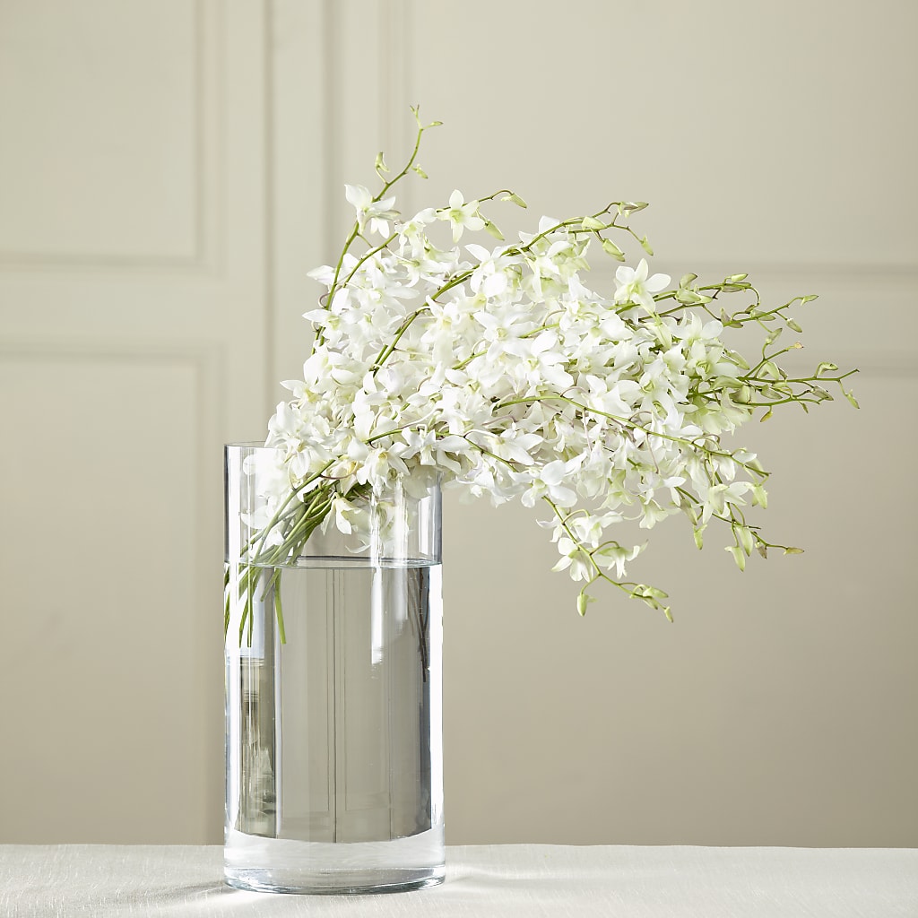 White Dendrobium Bouquet – Flower Garden Florist, Fort Worth TX