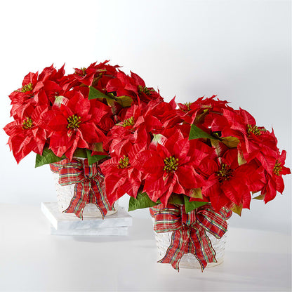 Happiest Holidays Poinsettia Bundle –  Flower Garden Florist, Fort Worth TX