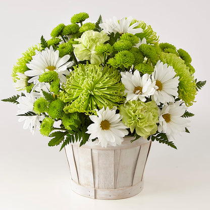 Lucky Charm Basket (Standard) –  Flower Garden Florist, Fort Worth TX