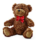 Adorable Plush Bear –  Flower Garden Florist, Fort Worth TX