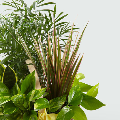 French Garden –  Flower Garden Florist, Fort Worth TX