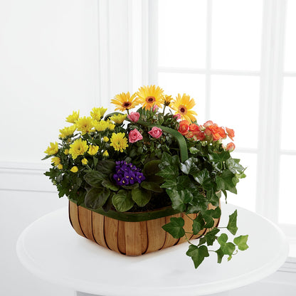 Gentle Blossoms Basket –  Flower Garden Florist, Fort Worth TX