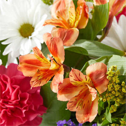 Oopsie Daisy Box Bouquet –  Flower Garden Florist, Fort Worth TX