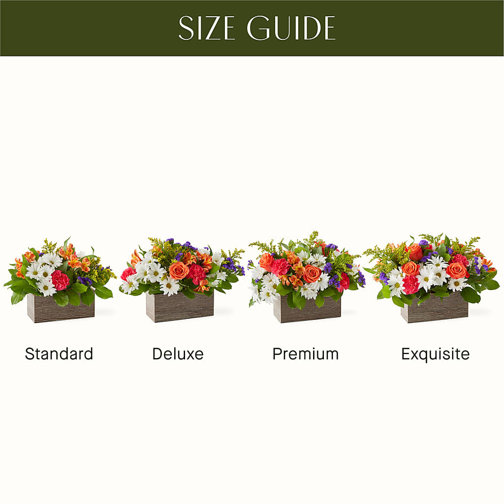 Oopsie Daisy Box Bouquet –  Flower Garden Florist, Fort Worth TX