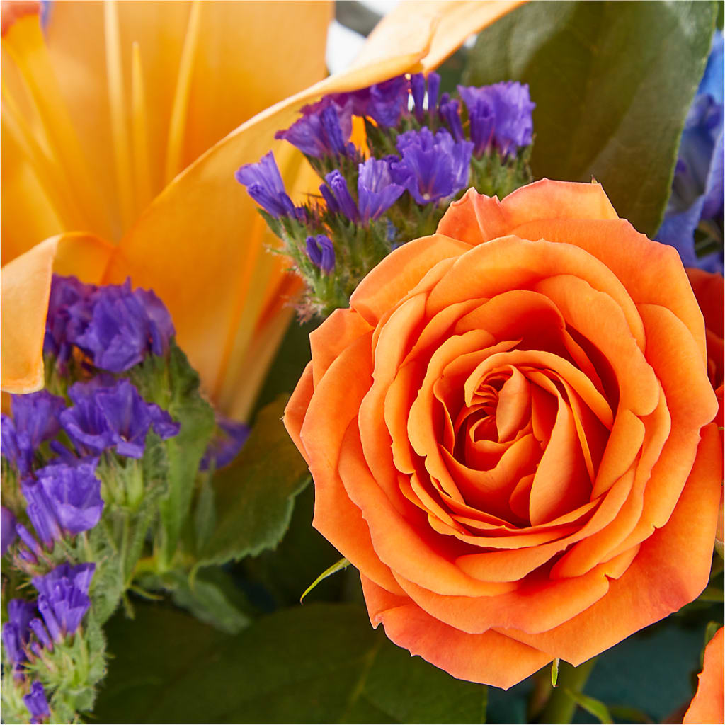 Radiant Citrus Box Bouquet –  Flower Garden Florist, Fort Worth TX