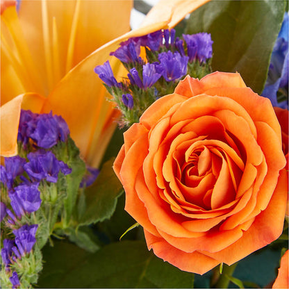 Radiant Citrus Box Bouquet –  Flower Garden Florist, Fort Worth TX