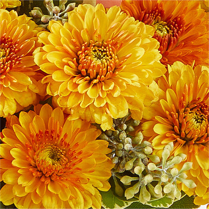 Peachy Pumpkin –  Flower Garden Florist, Fort Worth TX