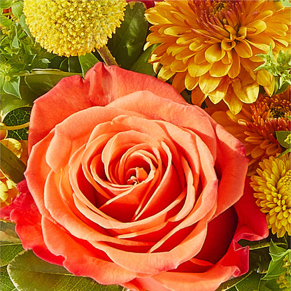 Gourdgeous Pumpkin –  Flower Garden Florist, Fort Worth TX