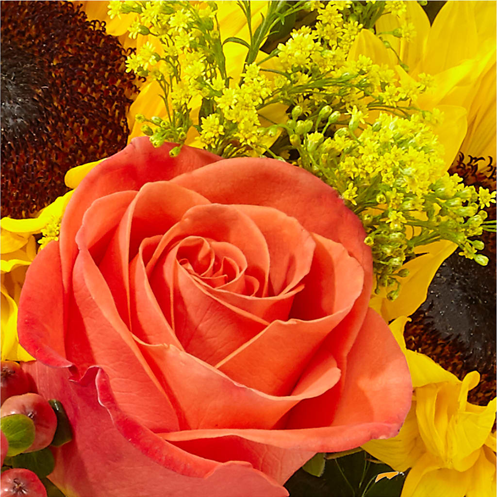 Pick of the Patch Pumpkin Bouquet –  Flower Garden Florist, Fort Worth TX