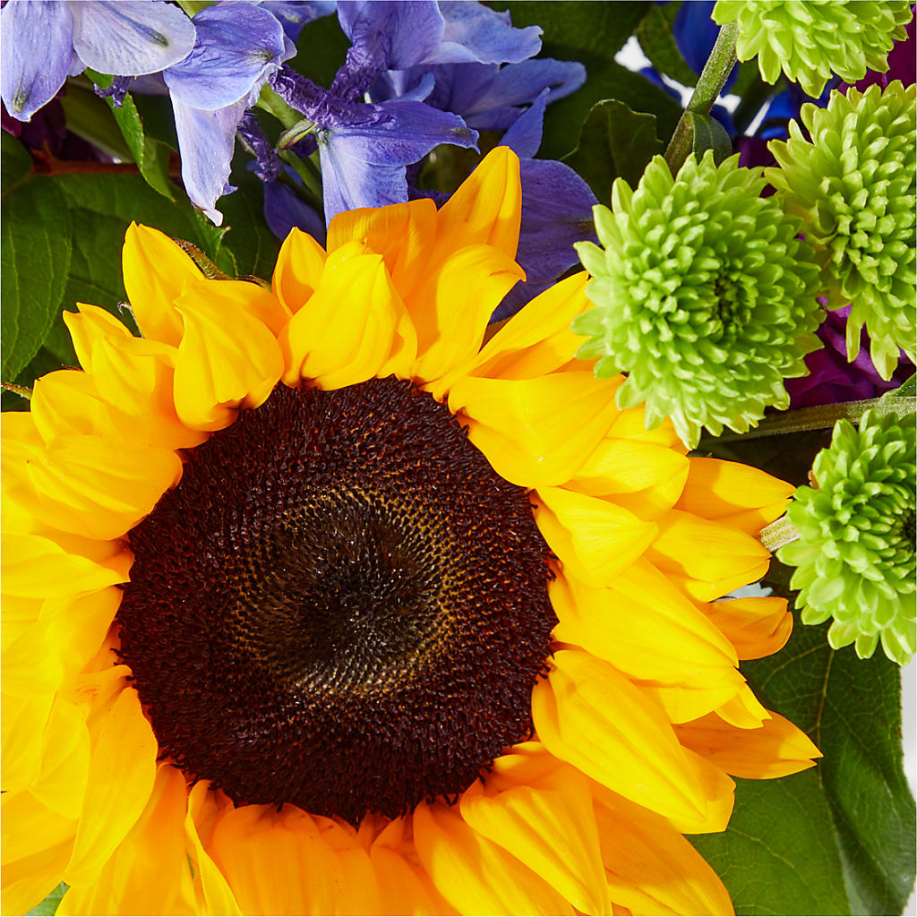 Catching Rays Bouquet –  Flower Garden Florist, Fort Worth TX
