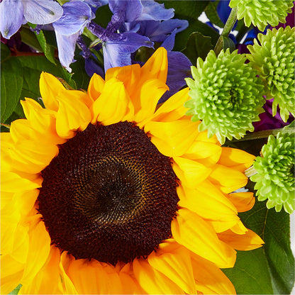 Catching Rays Bouquet –  Flower Garden Florist, Fort Worth TX