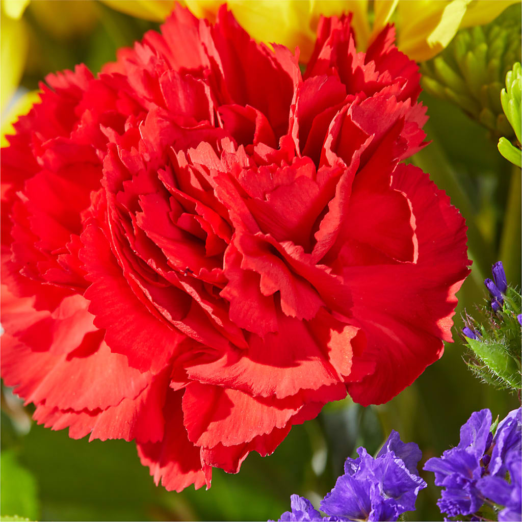 Brighter Days Bouquet –  Flower Garden Florist, Fort Worth TX