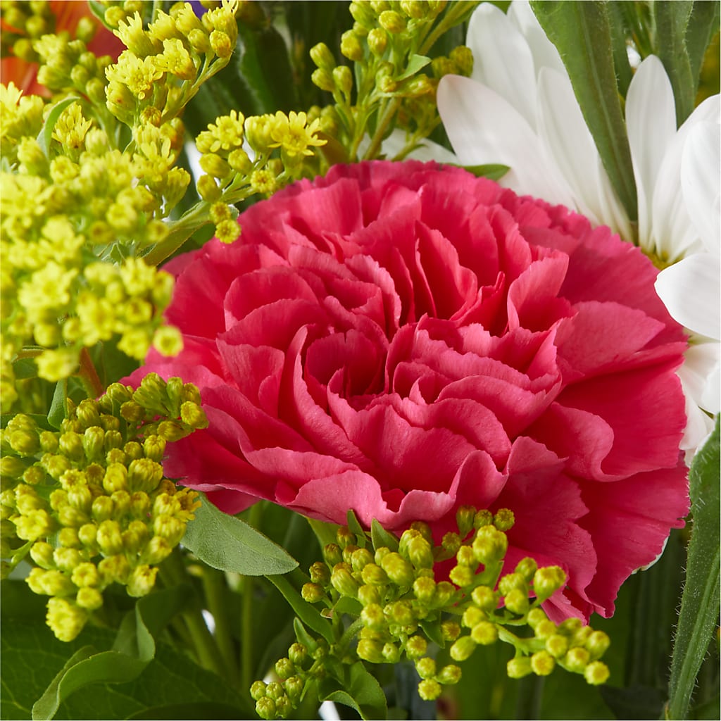 Oopsie Daisy Bouquet –  Flower Garden Florist, Fort Worth TX