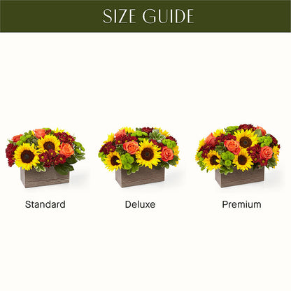 Happy Harvest Garden –  Flower Garden Florist, Fort Worth TX