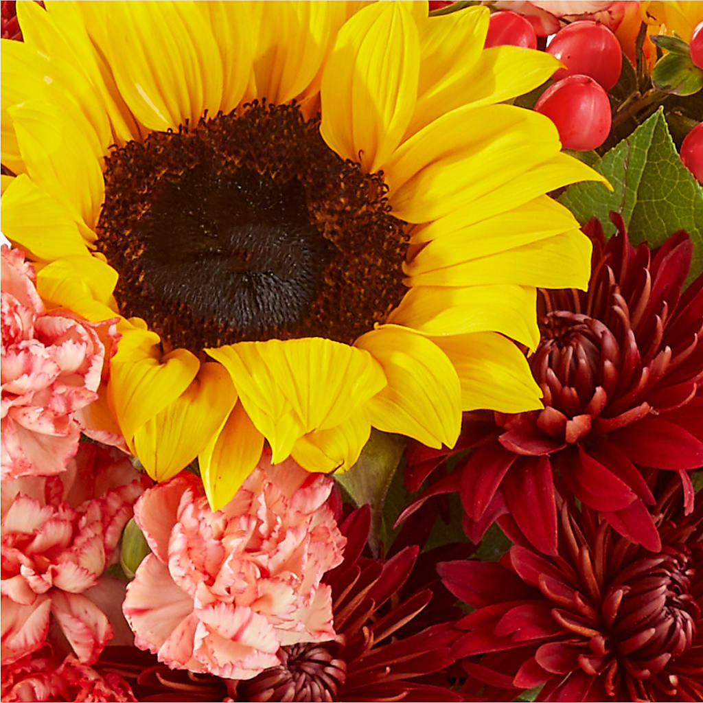 Fresh Cider Bouquet –  Flower Garden Florist, Fort Worth TX