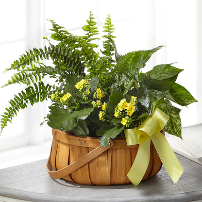 Always Dear Dishgarden –  Flower Garden Florist, Fort Worth TX