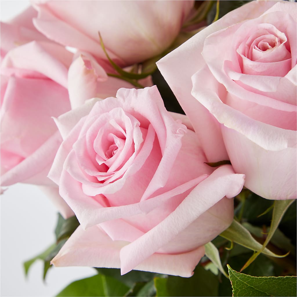 Picture Perfect Pink Rose Bouquet –  Flower Garden Florist, Fort Worth TX