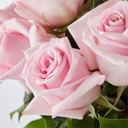 Picture Perfect Pink Rose Bouquet –  Flower Garden Florist, Fort Worth TX