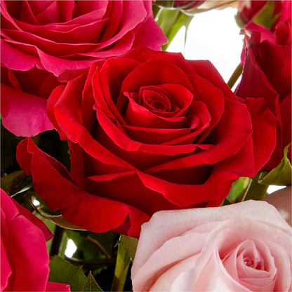 Love Notes Rose Bouquet –  Flower Garden Florist, Fort Worth TX