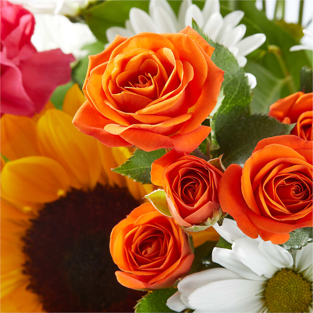 Sun-drenched Blooms Bouquet –  Flower Garden Florist, Fort Worth TX
