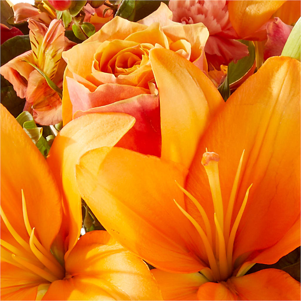 Afternoon Light Bouquet –  Flower Garden Florist, Fort Worth TX