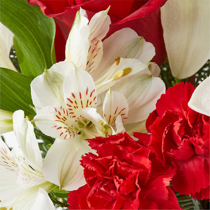 Holiday Season Bouquet –  Flower Garden Florist, Fort Worth TX