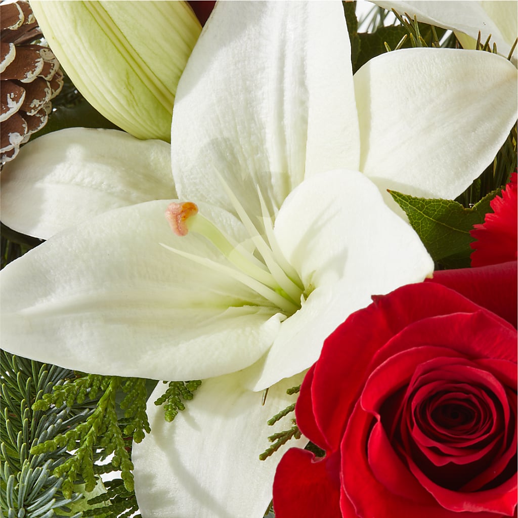 Oh So Jolly Bouquet –  Flower Garden Florist, Fort Worth TX