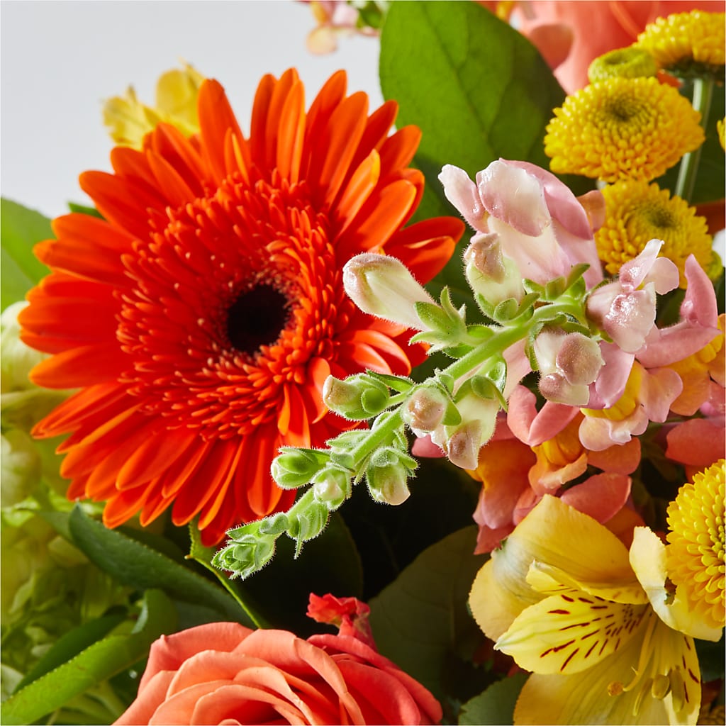 Autumn Sunshine Bouquet –  Flower Garden Florist, Fort Worth TX