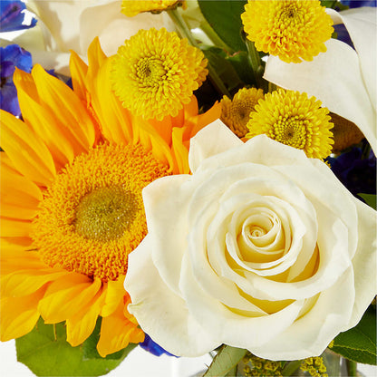 Stargazing Bouquet –  Flower Garden Florist, Fort Worth TX