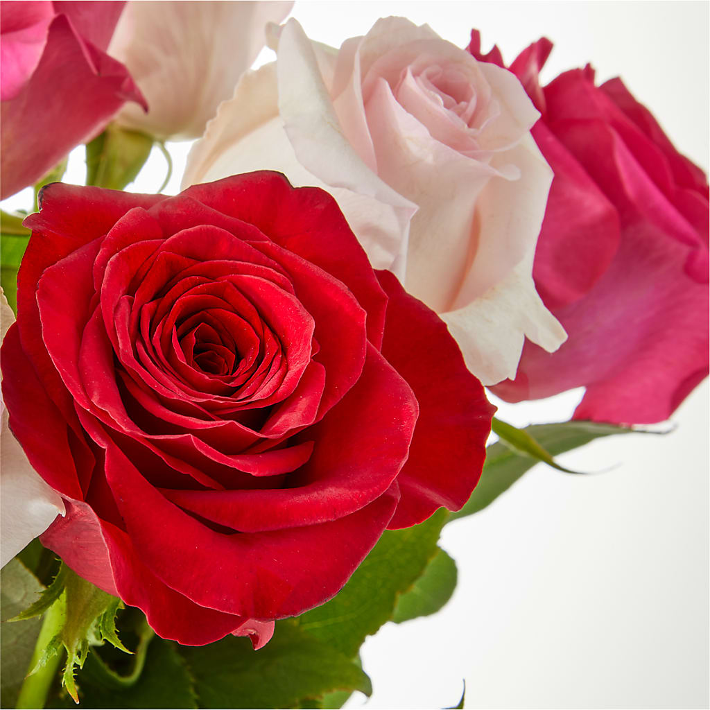Charming Rose Bouquet –  Flower Garden Florist, Fort Worth TX