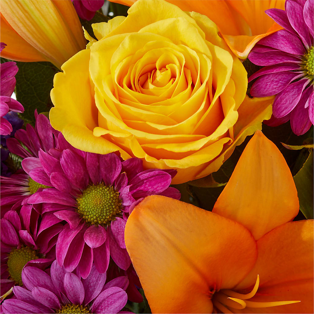 Colorful Visions Bouquet –  Flower Garden Florist, Fort Worth TX