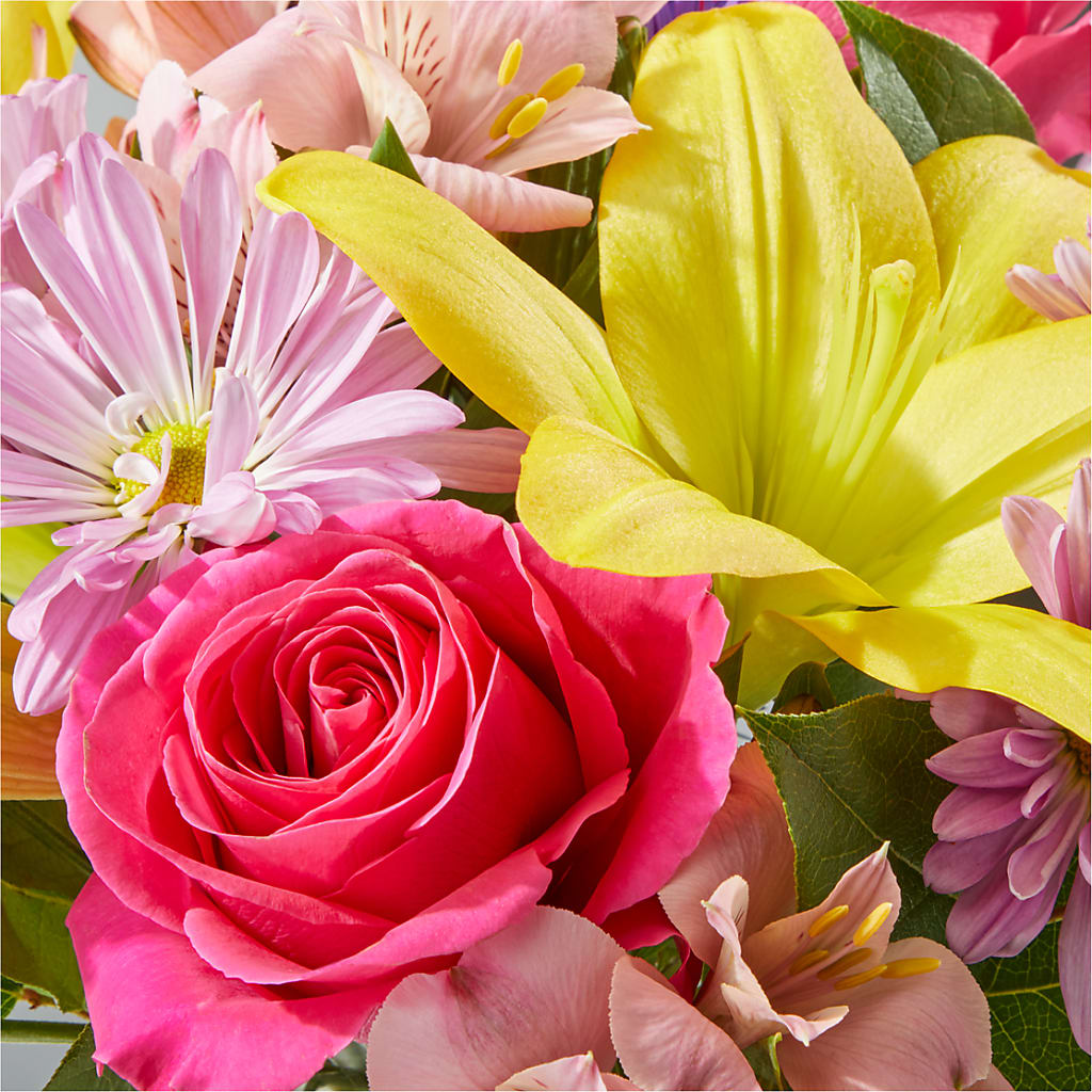 Sprinkles Bouquet –  Flower Garden Florist, Fort Worth TX