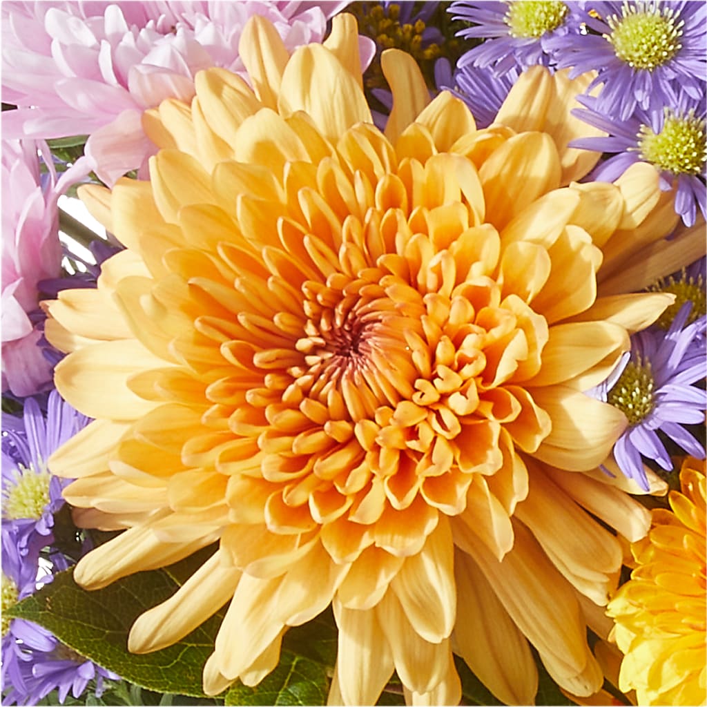 Countryside Bouquet –  Flower Garden Florist, Fort Worth TX