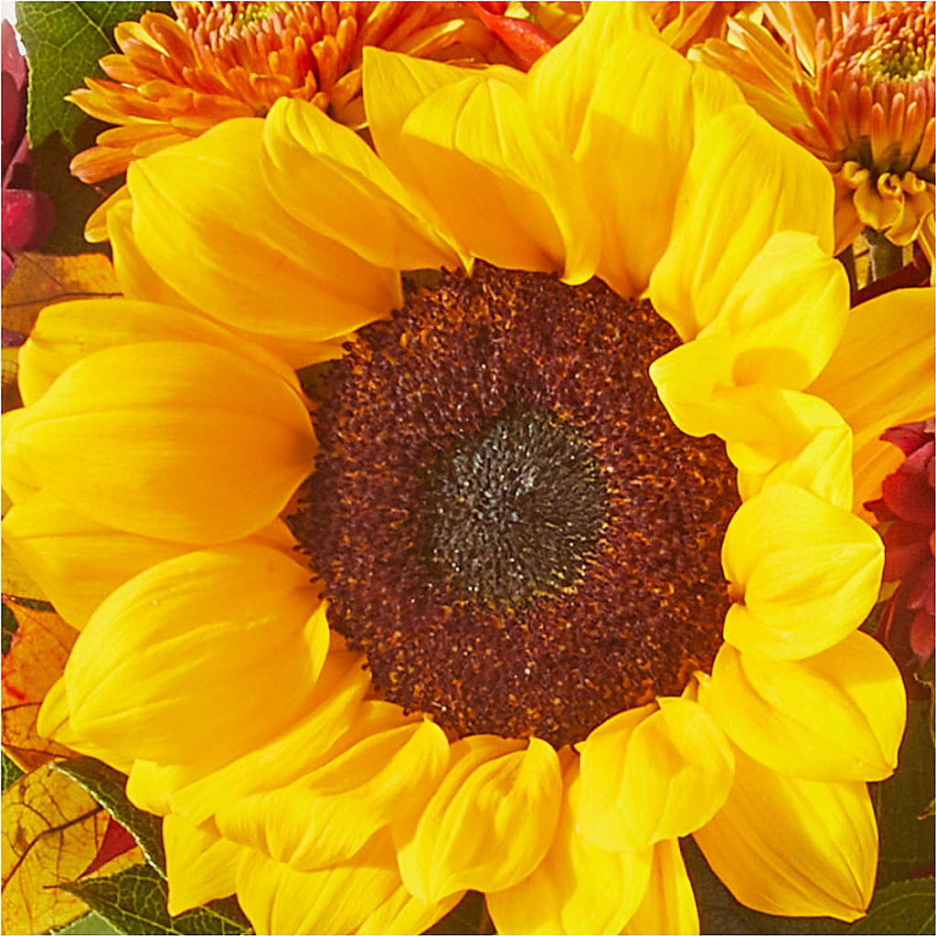 Sunny Side Bouquet –  Flower Garden Florist, Fort Worth TX